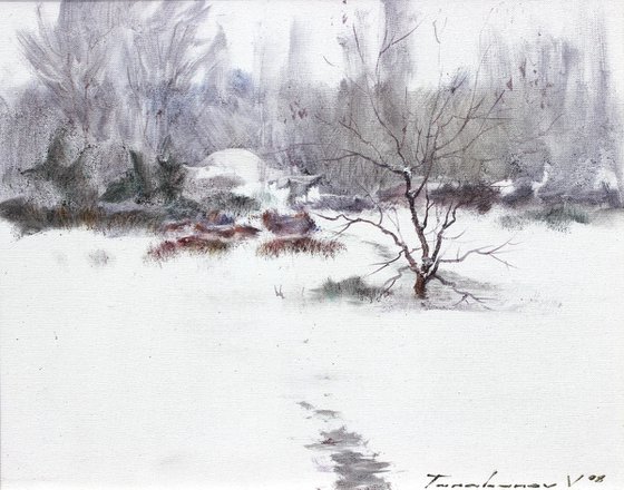 Winter contrast