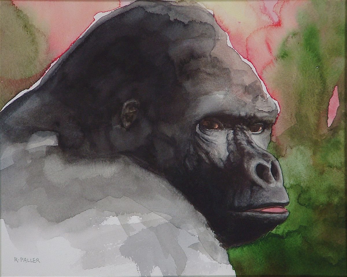 Lowland Gorilla - Watching by Rick Paller
