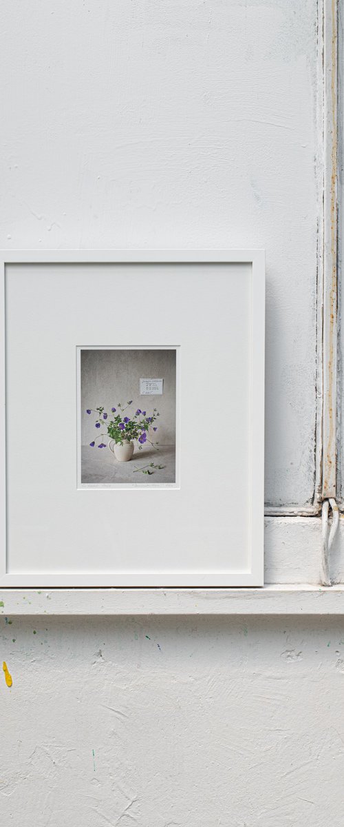 Geranium wallichchianum by Cornelia Weber