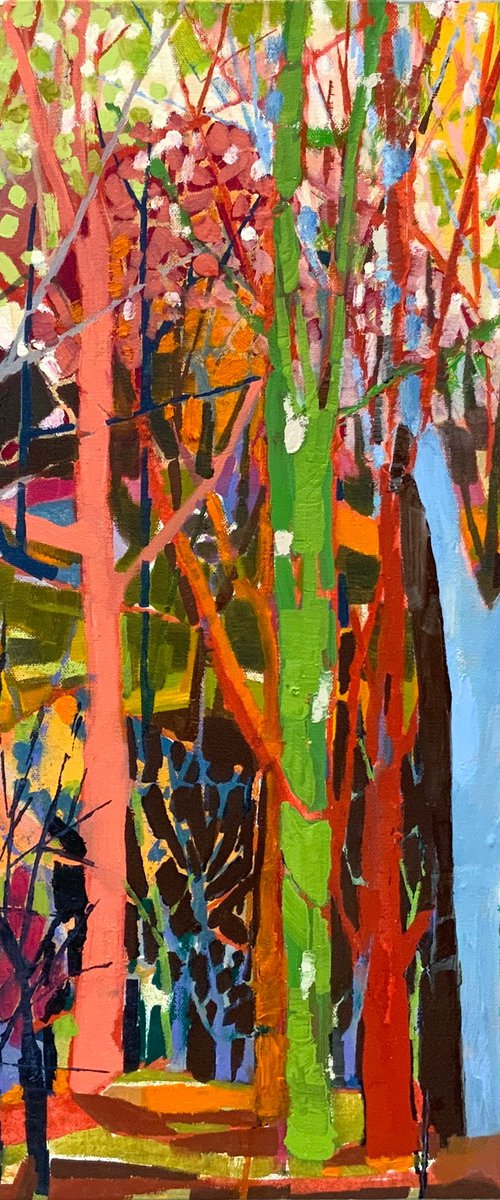 The Weather We’ve Been Waiting For XCI 91 by Steven Page Prewitt