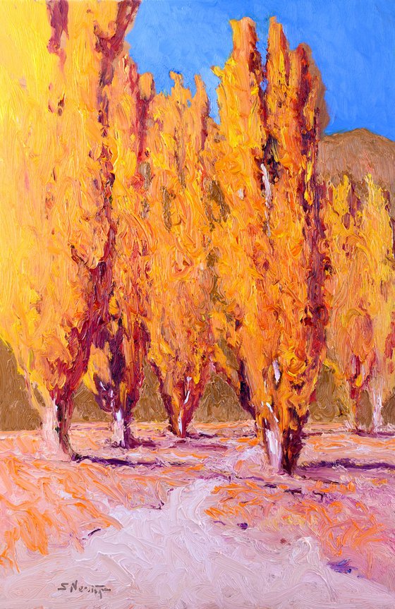 Poplars, Fall