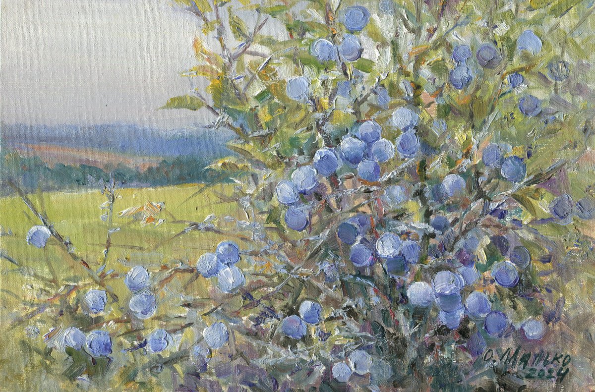 Impressionistic Landscape Oil Painting By Olha Malko, 12 X 8", The Blackthorn Blue, Original Artwork