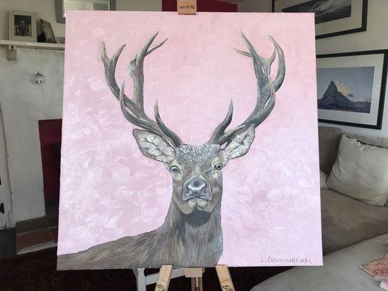 Stag on Rose #1