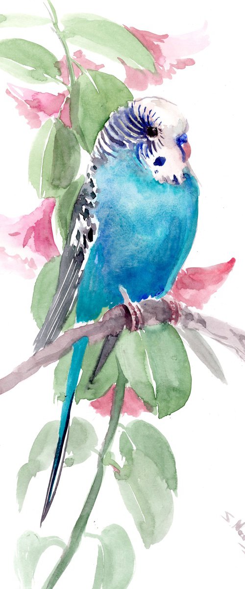 Budgie, Turquoise blue Parakeet painting by Suren Nersisyan