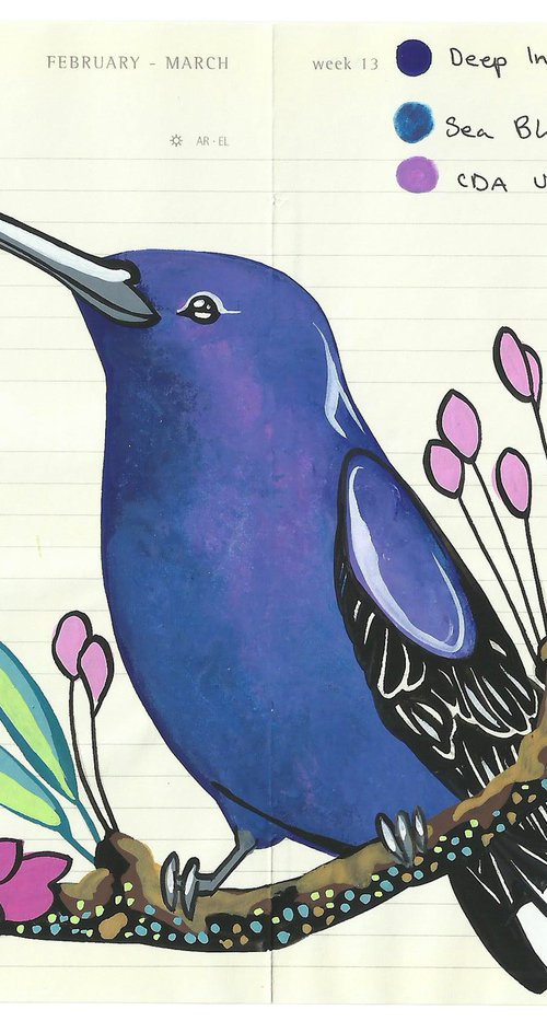 Birds of South America: Violet Sabrewing by Fran Giffard