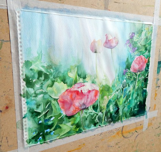 Poppies in the garden watercolour version