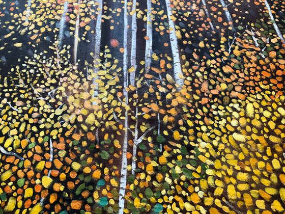 Yellow Aspen Tree