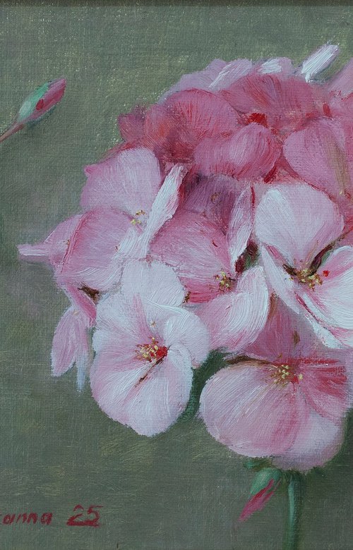 Geranium by Syuzanna Tarverdyan