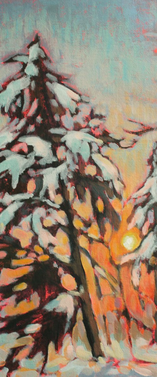Winter sun by Joanna Plenzler