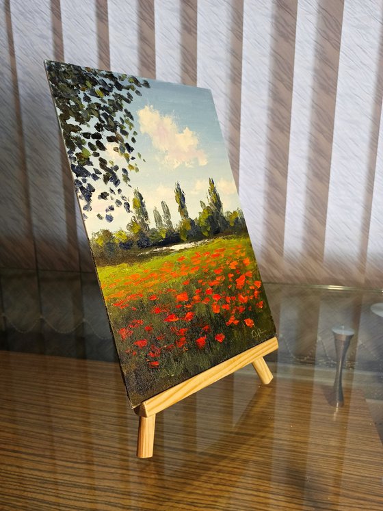Poppies by the river
