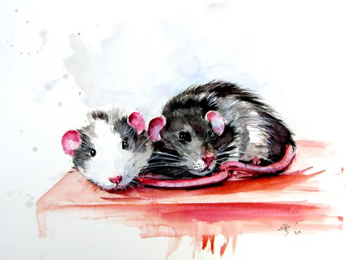 Rats by Kovács Anna Brigitta