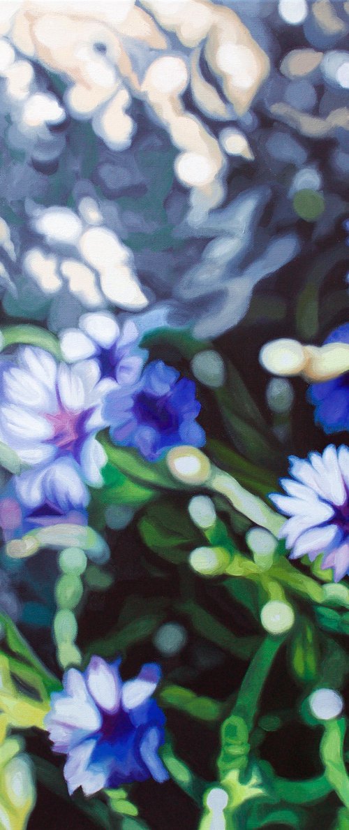 Cornflowers by Lynsey Ewan