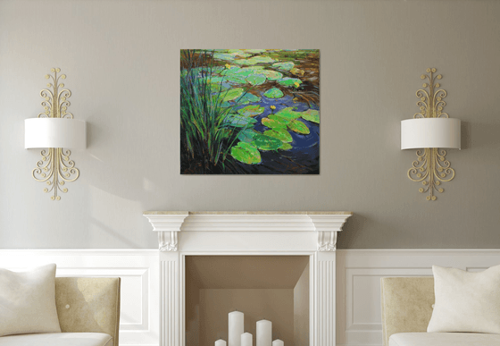 Water lilies pond