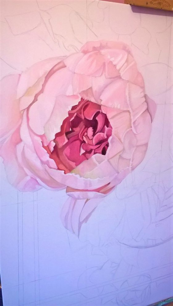 Soft pink Peonies  (Large canvas)