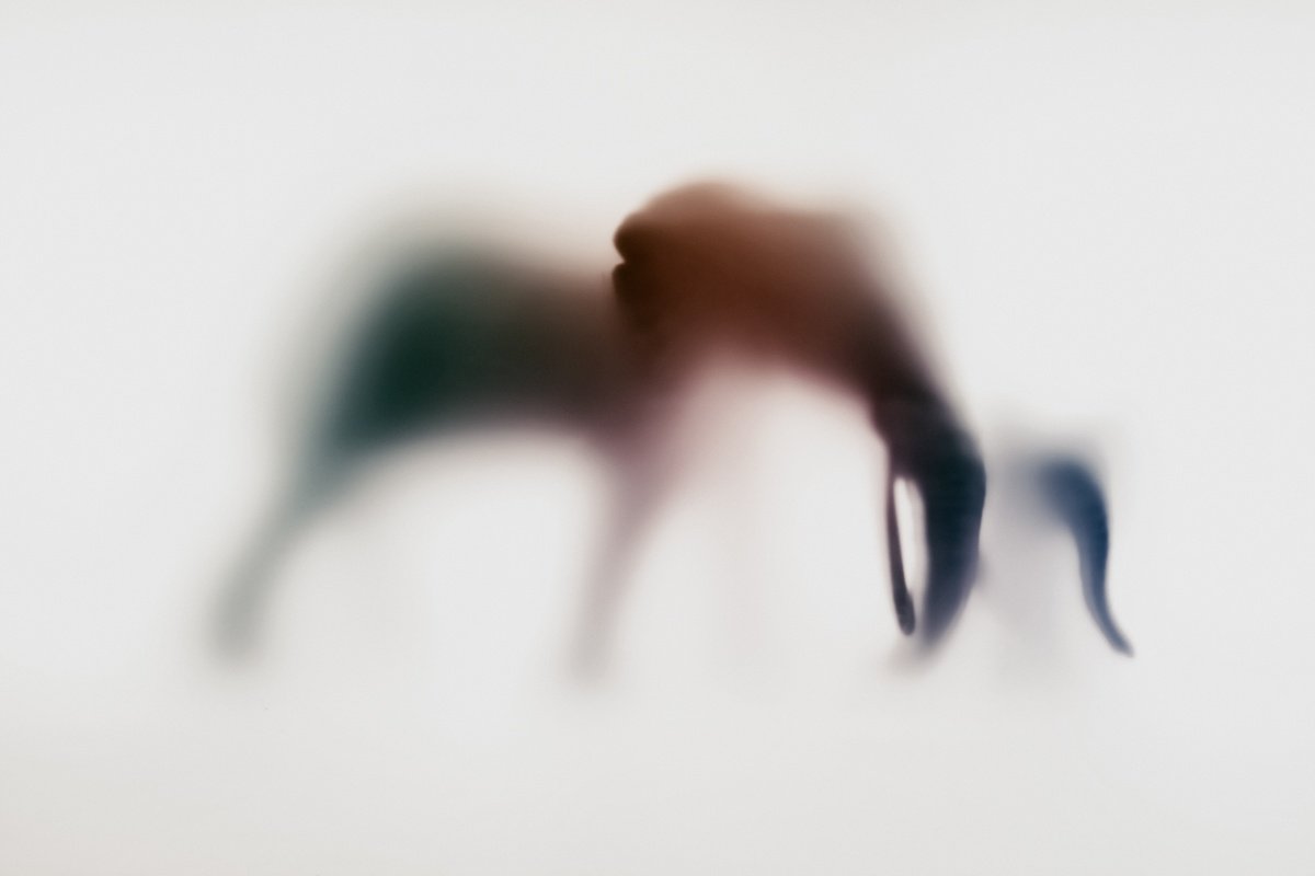 Abstract Animal Photograph By Sven Pfrommer, 47 X 31", Wild Lens - Elephant X, Original Artwork