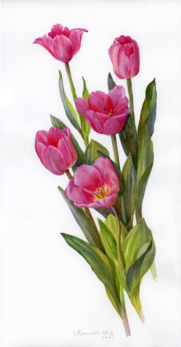Photorealistic Botanical Watercolour By Yulia Krasnov, 12 X 22", Pink Tulips, Original Artwork
