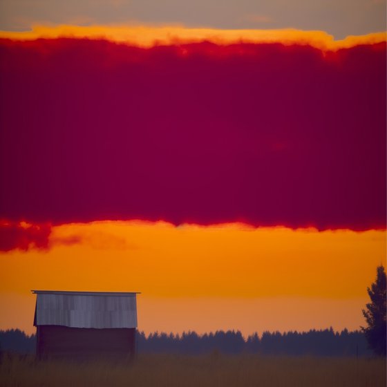 "Shelter at Dusk"
