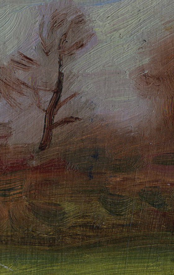 Early Spring in Longford Park