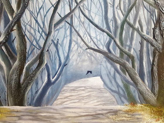 "The dark hedges"