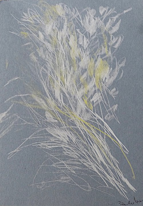 Wild Flowers 6, 21x14 cm by Frederic Belaubre