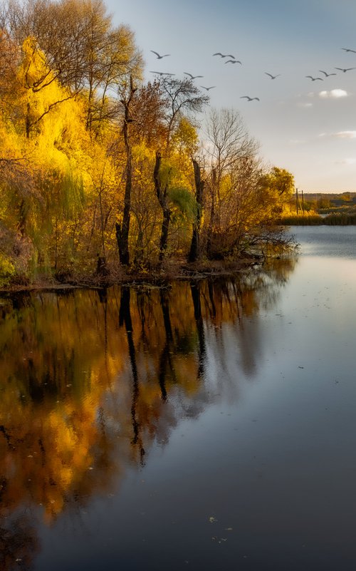 Old Park by Vlad Durniev