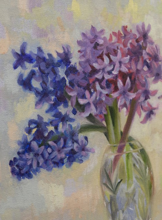 Blue and Pink Hyacinths