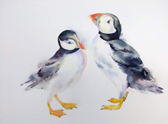 Puffins, original watercolour painting