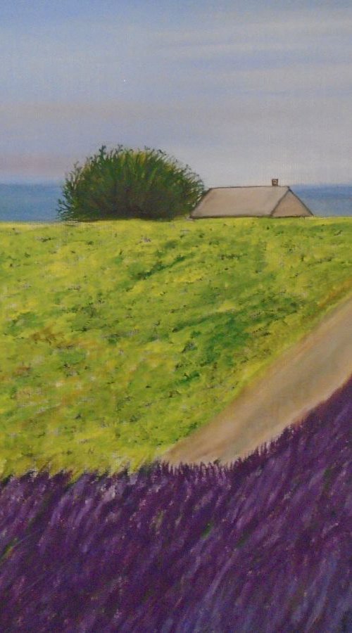 Little lavender field by Timea  Valsami