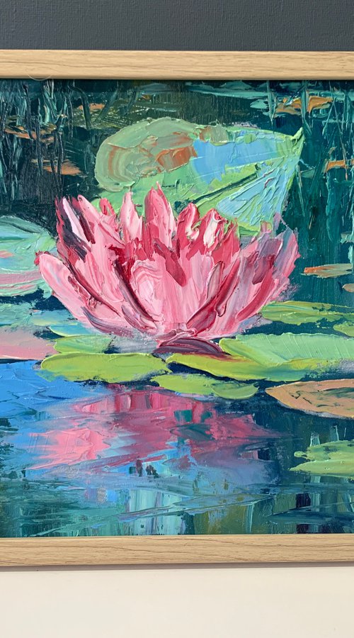 Water Lillies pond. by Vita Schagen