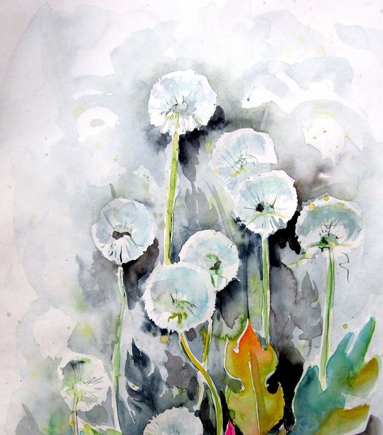 Old dandelions II