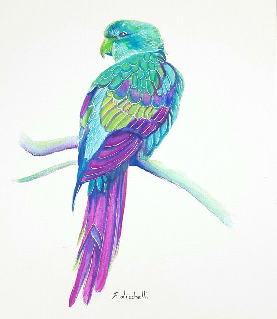 Tropical parrot 2