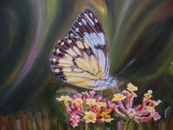 Loveliness of butterfly