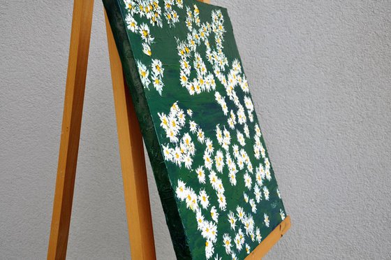 Daisies