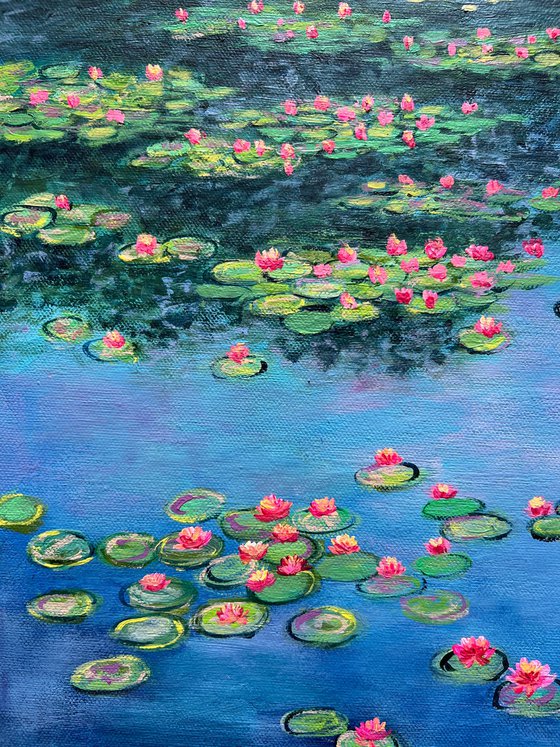 Water lilies garden