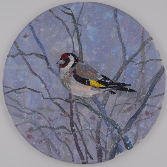 Goldfinch - 2