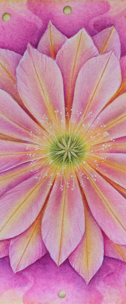 Flower Power by Lorraine Sadler