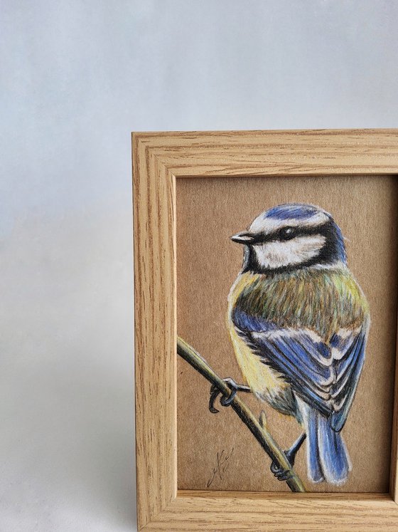 Bird drawing mini art framed 11x15 cute mini art