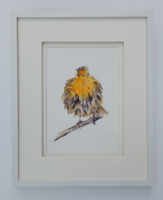 Soggy Robin, Original watercolour painting