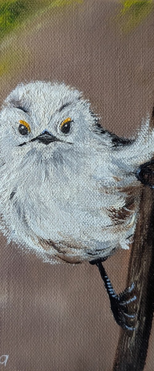 Bird by Natalia Shaykina