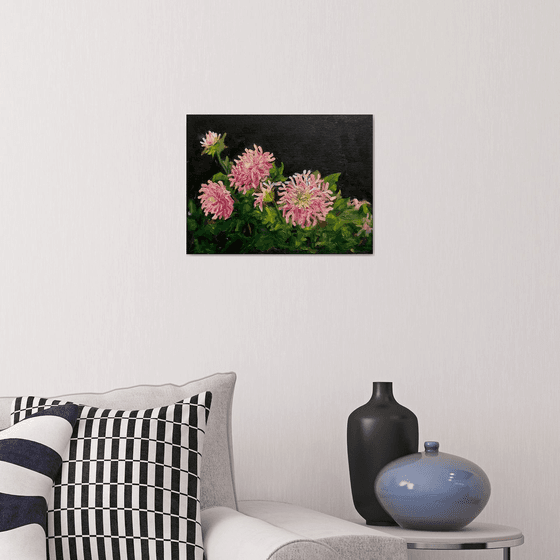 DAHLIAS
