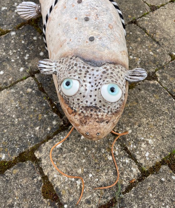 THE CATFISH OF GALATEA