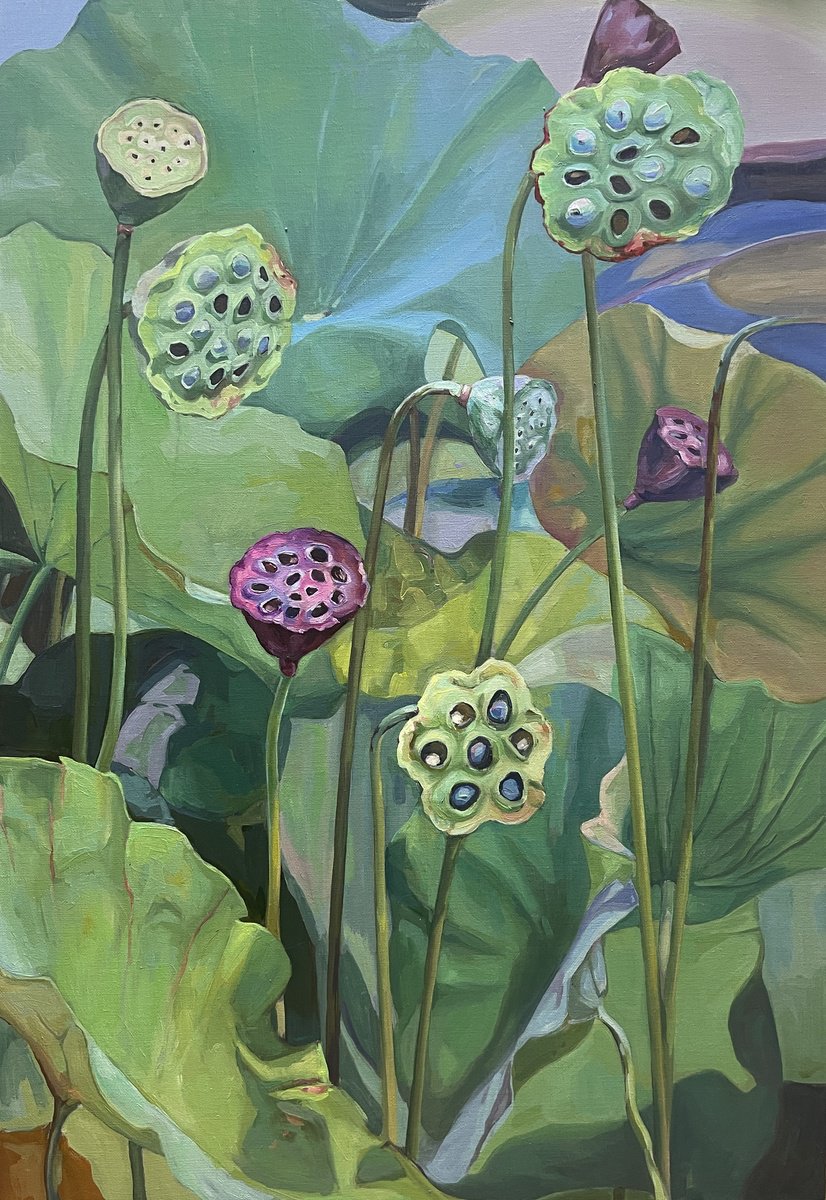 Lotus pond. Seeds pods. by Guzel Min