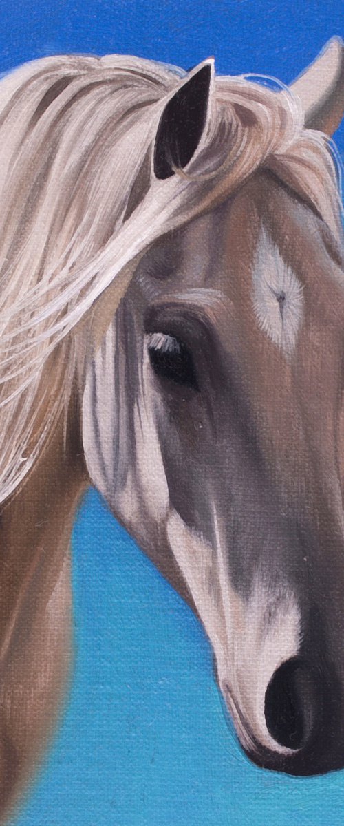 Horse Portrait 53 by Anastasia Parfilo