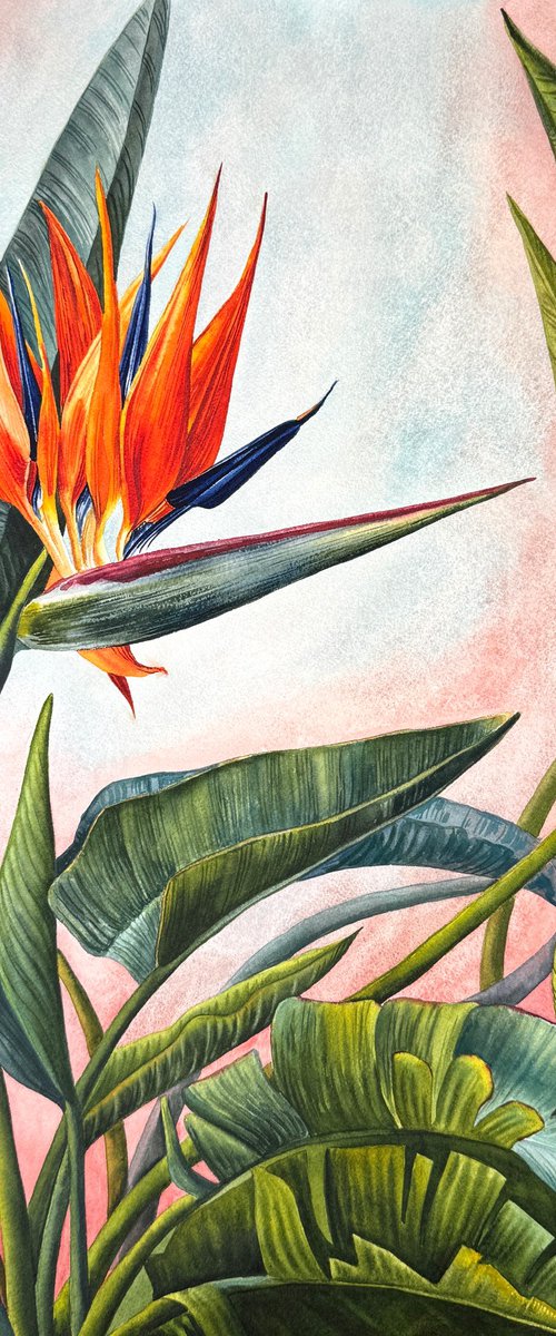 Strelitzia - Bird of Paradise by Yuliia Prokopchuk