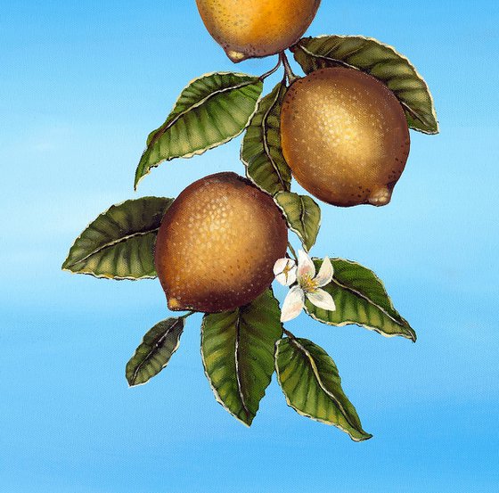 O Limoeiro (The Lemon Tree)