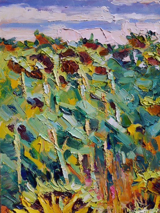 By a sunflowers field