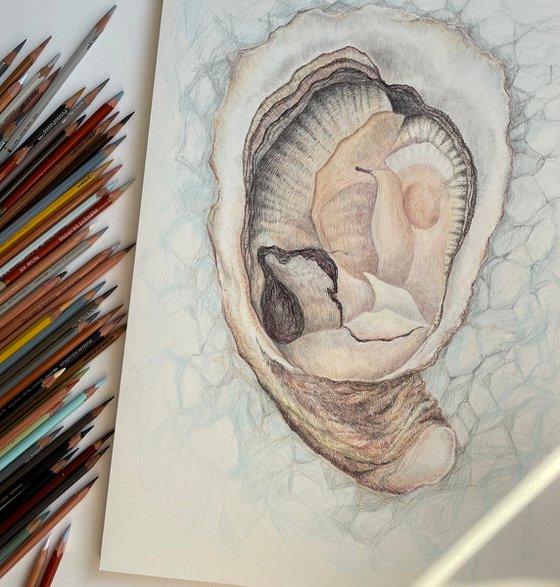 Colored pencils drawing of big oyster on ice