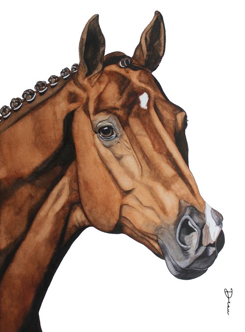 Vivaldi - Dressage horse KWPN stallion by Dominique Laurine