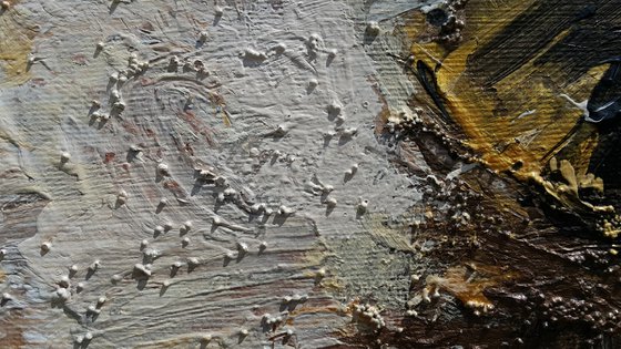 Rhythms of Venice