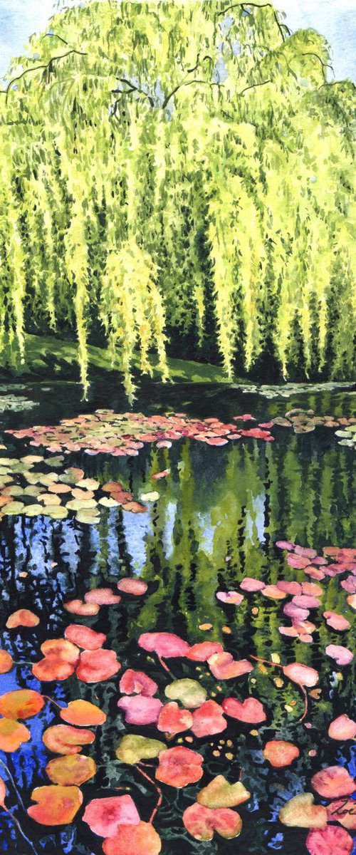 Water Lily Pond by Zoe Elizabeth Norman